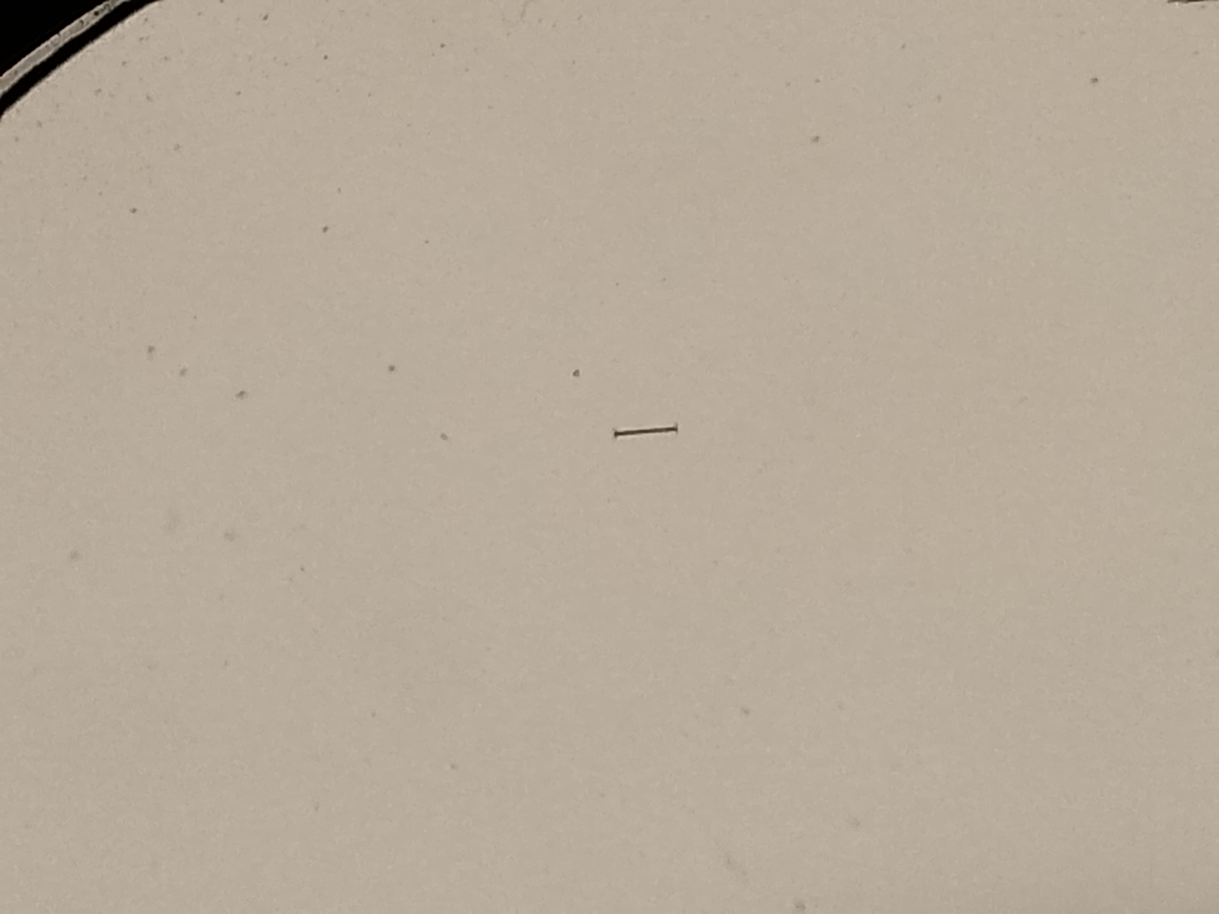Leitz Aristomet - wsuwka mikroskopowa z odcinkiem pomiarowym, P/N 505040 - ujęcie #6