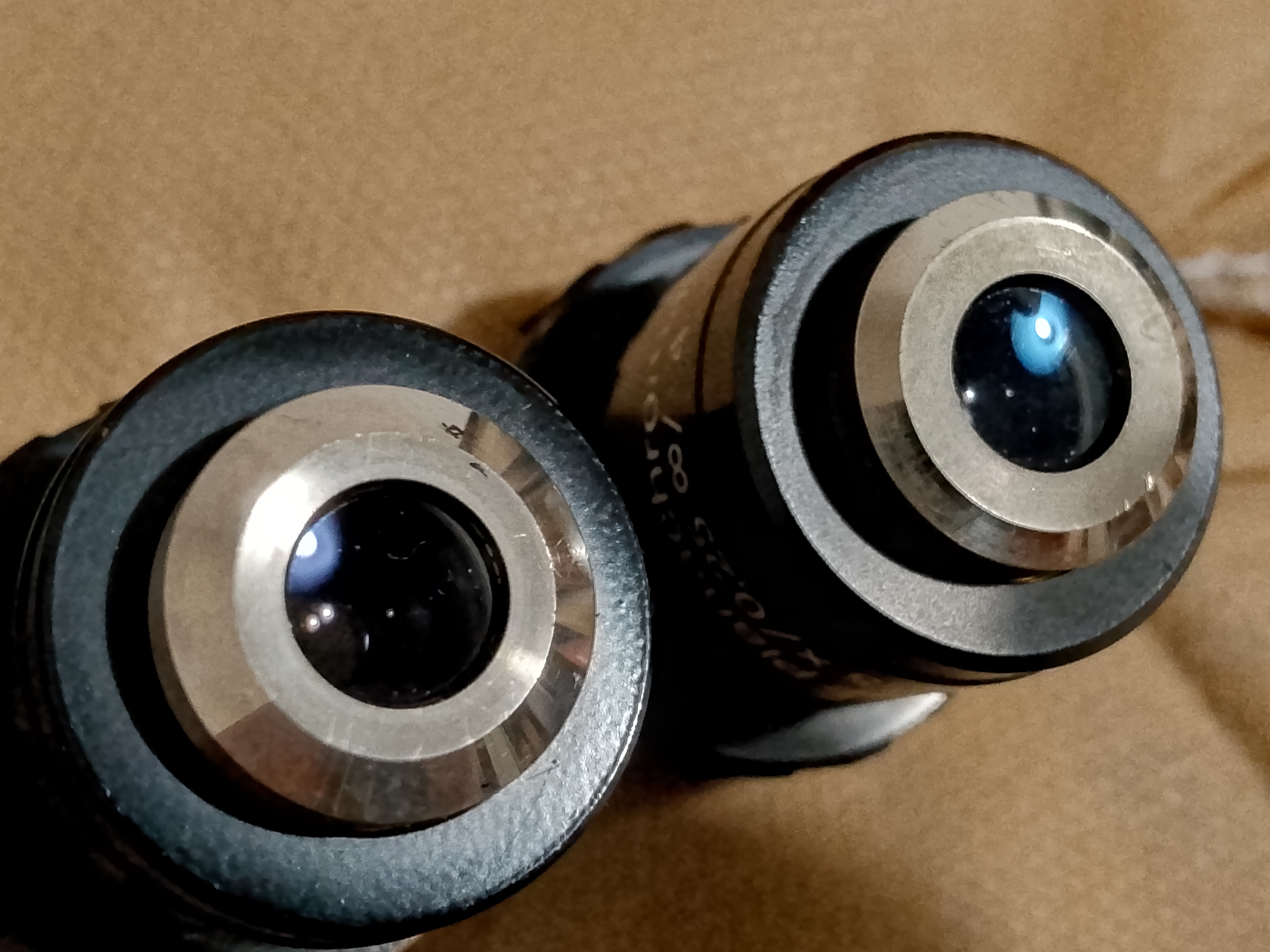 Carl Zeiss Jena Jenaval / Jenamed Mikroskop GF-Planachromat 12,5x/0,25 Objektiv, unendlich, M25-Gewinde - Ansicht #4