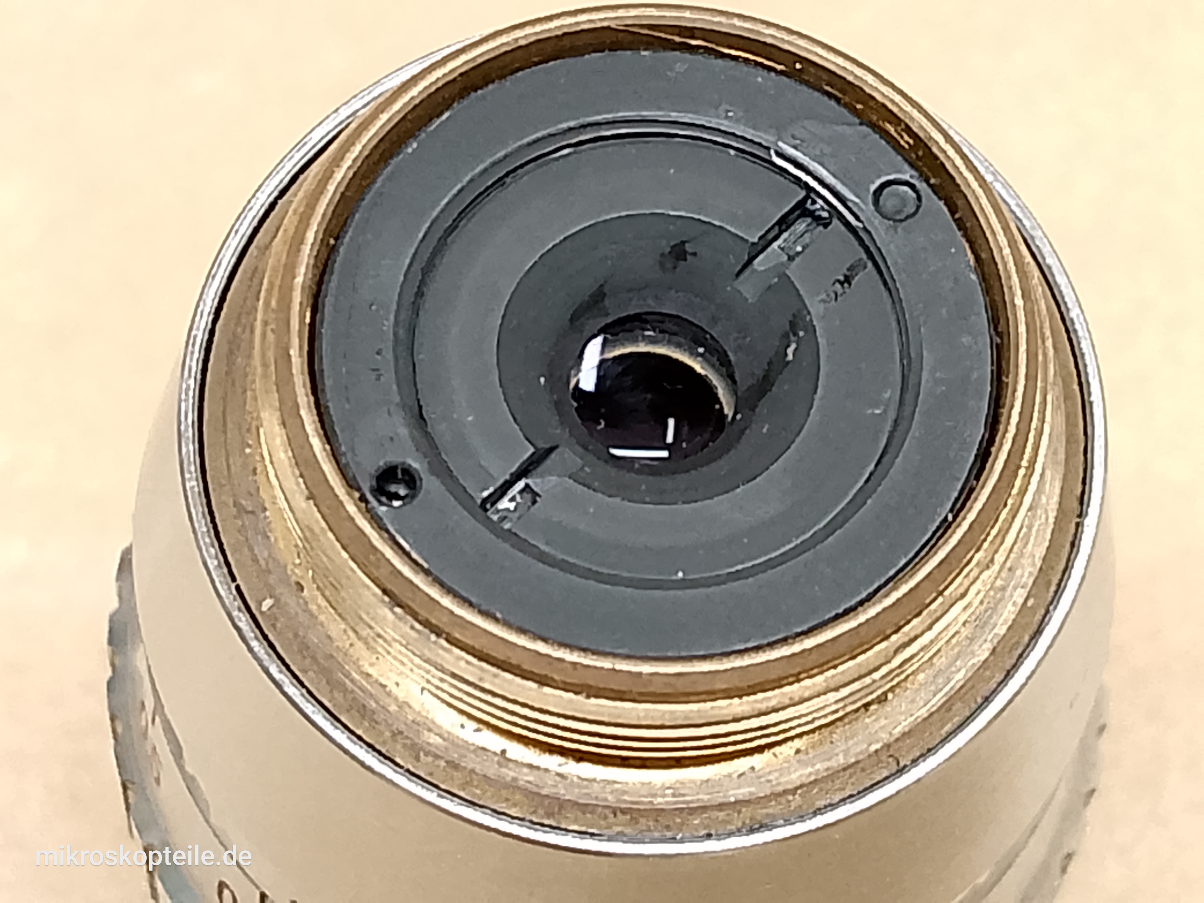 Nikon TMS / Labophot-2 Mikroskop Ph3 40 DL 0.55 LWD 160/0-2 Objektiv | 40x Phasenkontrast mit großem - Ansicht #7