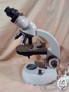 Zeiss KF 2 microscope - view no. 7